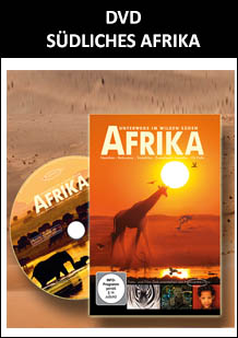 DVD - Afrika - Unterwegs im wilden Süden